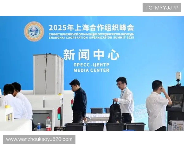 彭马赞助的德甲球队名单及合作亮点解析
