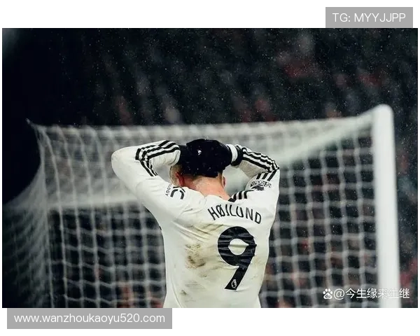 丹麦籍英超球员职业生涯回顾及表现分析