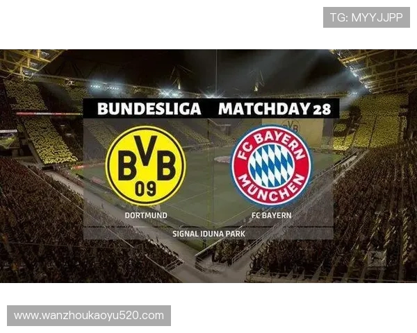 德甲球队的历史派别划分与球迷文化差异