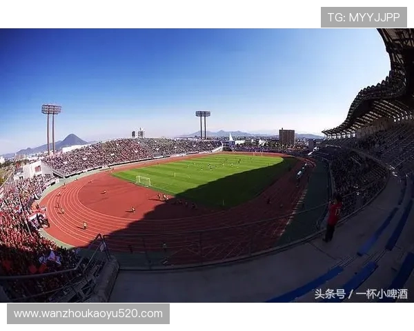 拥有专业足球场的德甲球队汇总，球场设施对比赛有多重要？