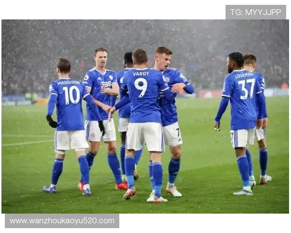 沃特福德队英超球员阵容及赛季表现回顾