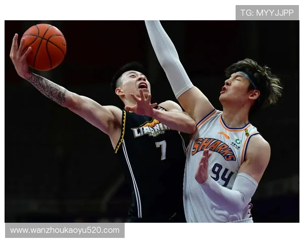 CBA主帅与球迷发生冲突，赛场秩序管理面临新考验